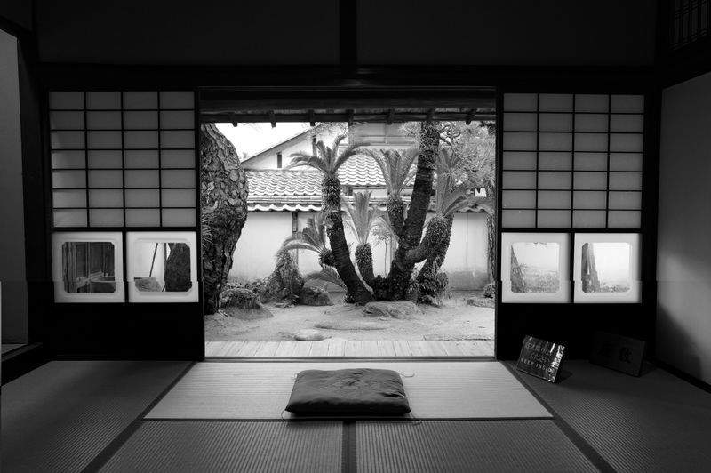 翠景盆栽スタジオ 3