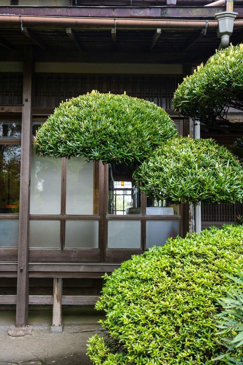 翠景盆栽スタジオ 8